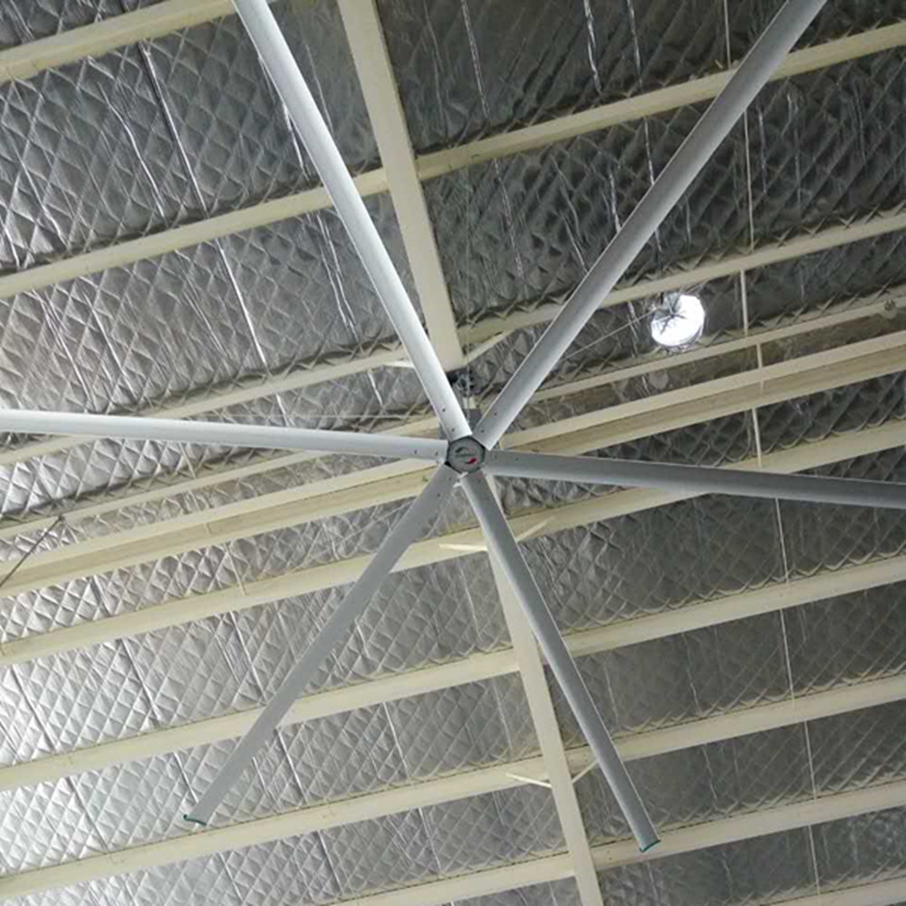 11ft 1000mm 천장 선풍기/3.4m 산업 작업장을 위한 6개의 잎 천장 선풍기