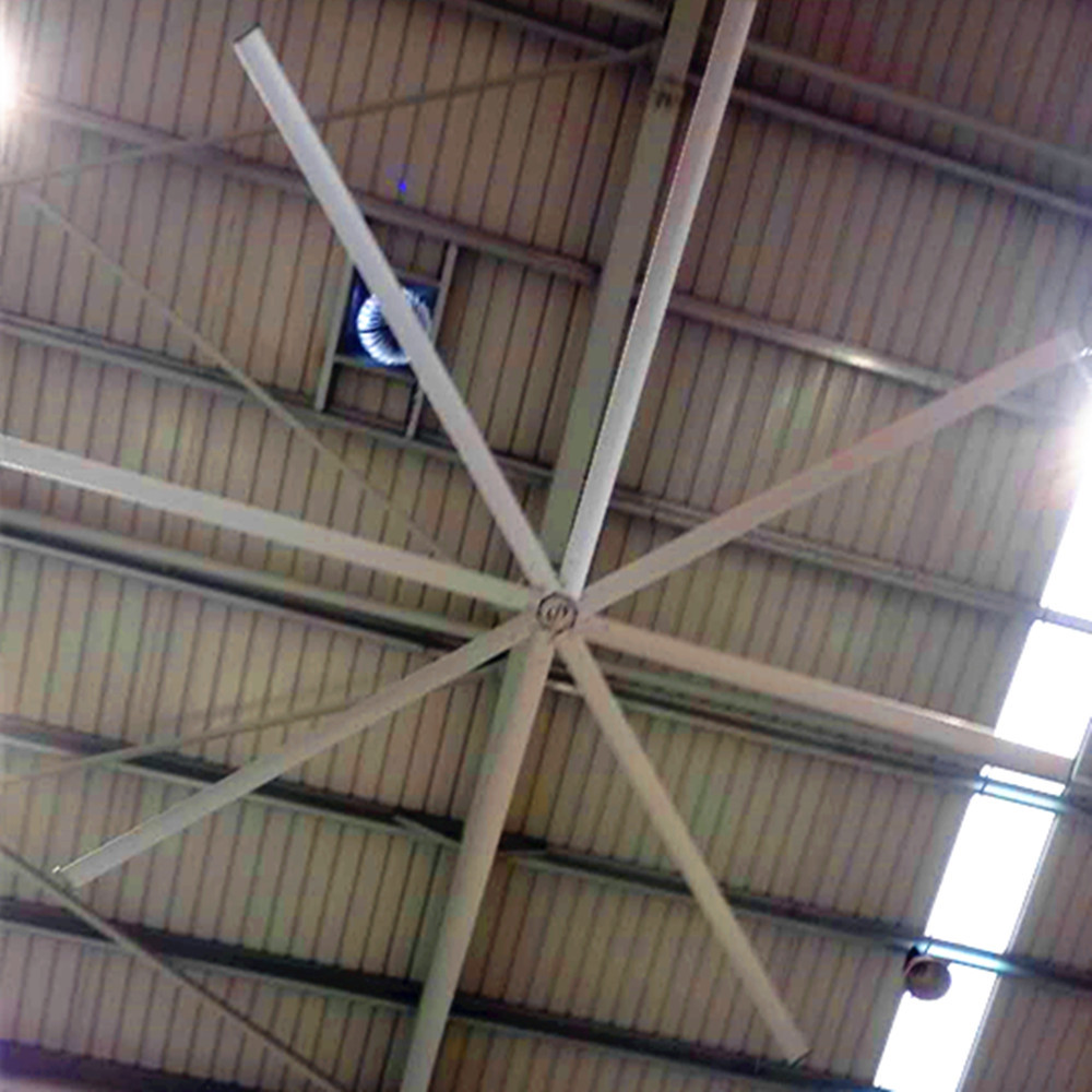 큰 당나귀 8개의 잎을 가진 상업적인 천장 선풍기 높은 볼륨 저속 12 발 천장 선풍기